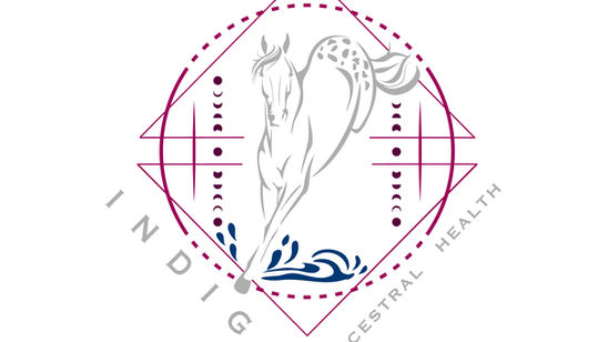 TNE Vet Seminar: Equine Metabolic Issues